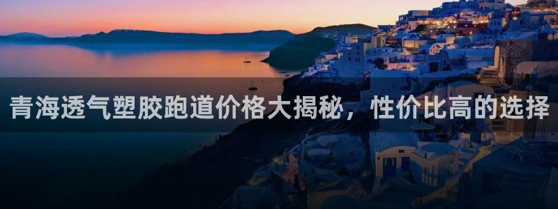 红足一比分网：青海透气塑胶跑道价格大揭秘，性价比高的选择
