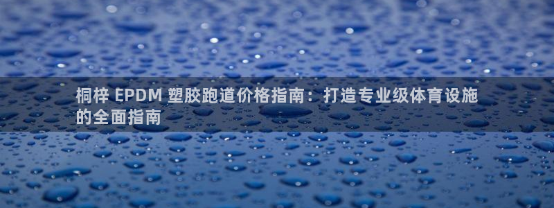 百度红足一1是为什么：桐梓 EPDM 塑胶跑道价格指南：打造专业级体育设施
的全面指南