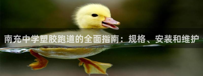 红足1世足球比分预测：南充中学塑胶跑道的全面指南：规格、安装和维护