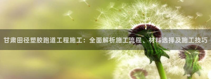 333814红足1世：甘肃田径塑胶跑道工程施工：全面解析施工流程、材料选择及施工技巧