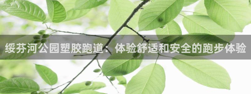 55814红足1世：绥芬河公园塑胶跑道：体验舒适和安全的跑步体验