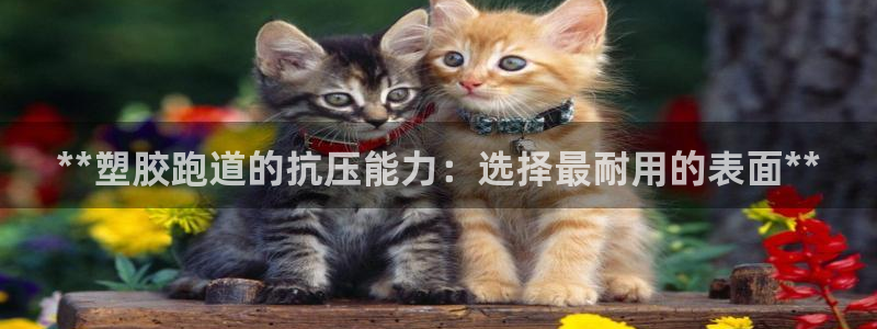 红足一1世66814新宝：**塑胶跑道的抗压能力：选择最耐用的表面**