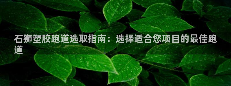 红足i世足球手机网：石狮塑胶跑道选取指南：选择适合您项目的最佳跑
道