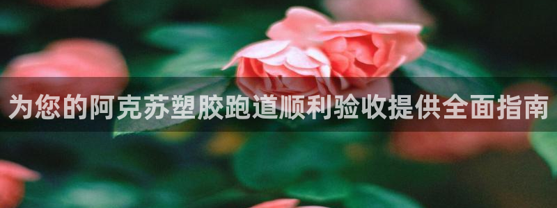 红足一1世666814足球：为您的阿克苏塑胶跑道顺利验收提供全面指南