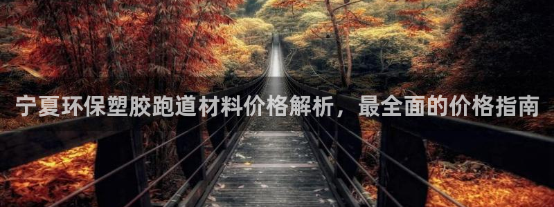 百度红足一1是什么样子的：宁夏环保塑胶跑道材料价格解析，最全面的价格指南