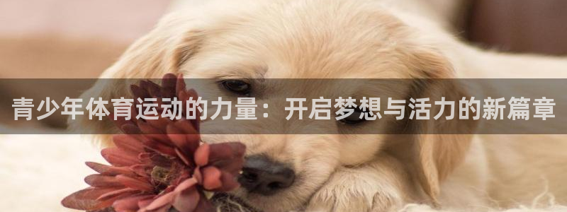 风速体育app下载安装最新版本：青少年体育运动的力量：开启梦想与活力的新篇章